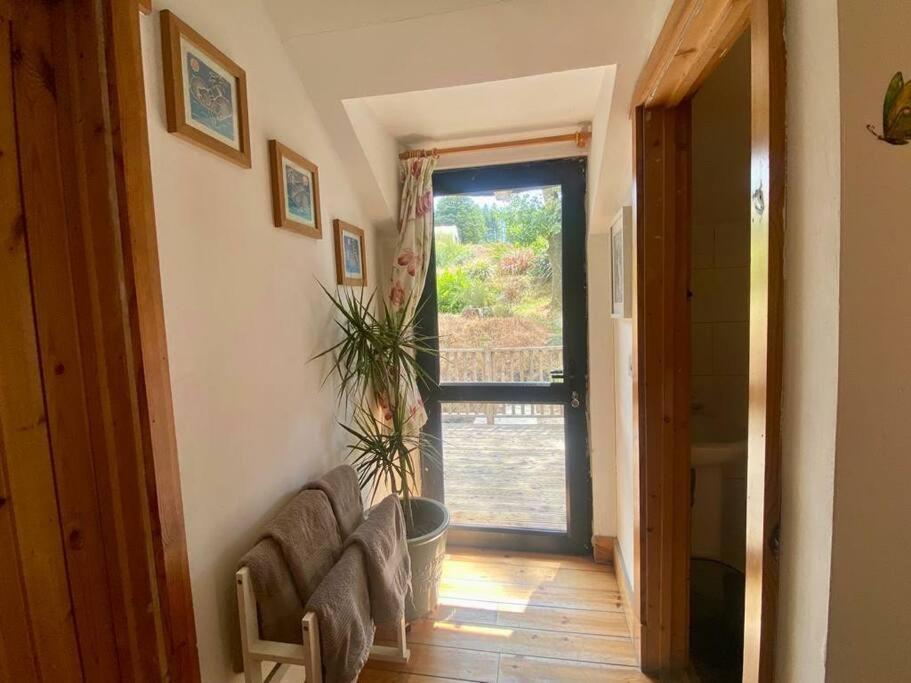 Kingsford Renovated Old Cottage Wexford Eksteriør bilde