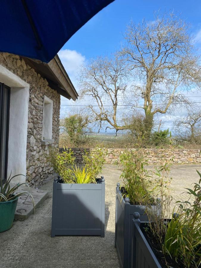 Kingsford Renovated Old Cottage Wexford Eksteriør bilde